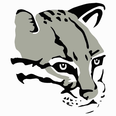 Cougar